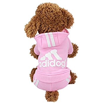 Adidog Sweater