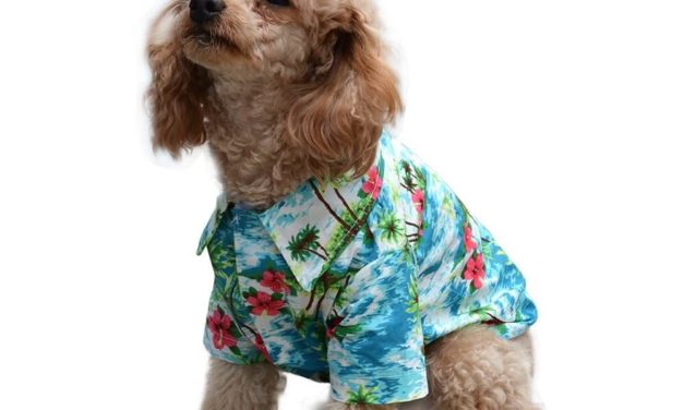 Dog Hawaiian T Shirt