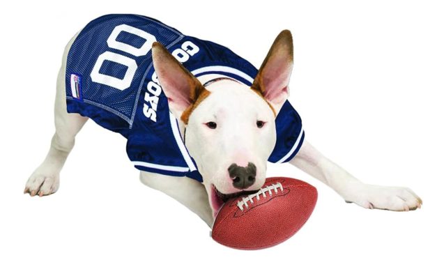 NFL DOG JERSEY. 32 NFL Teams Available