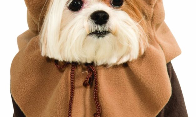 Star Wars Ewok Puppy Costume