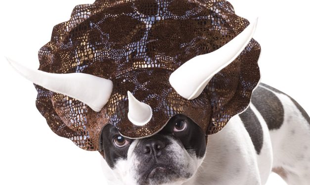 Triceratops Dog Costume