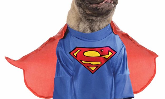Superman Dog Costume!