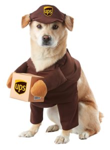 Dog Ups Costume