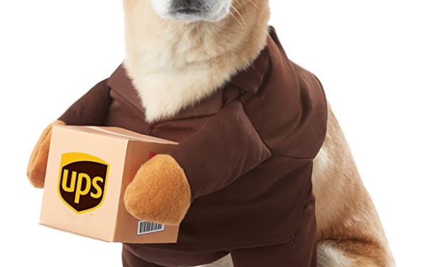 UPS Dog Costume